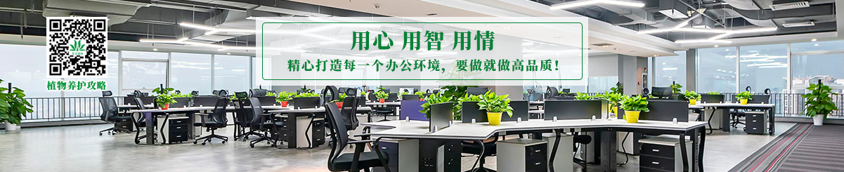 植物(wù)租賃套餐388元